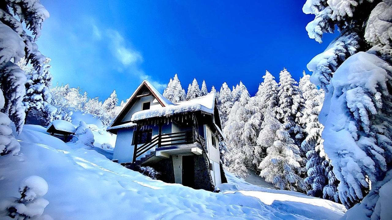 Mountain Cottage Lubomierz Lubomierz  Exteriér fotografie